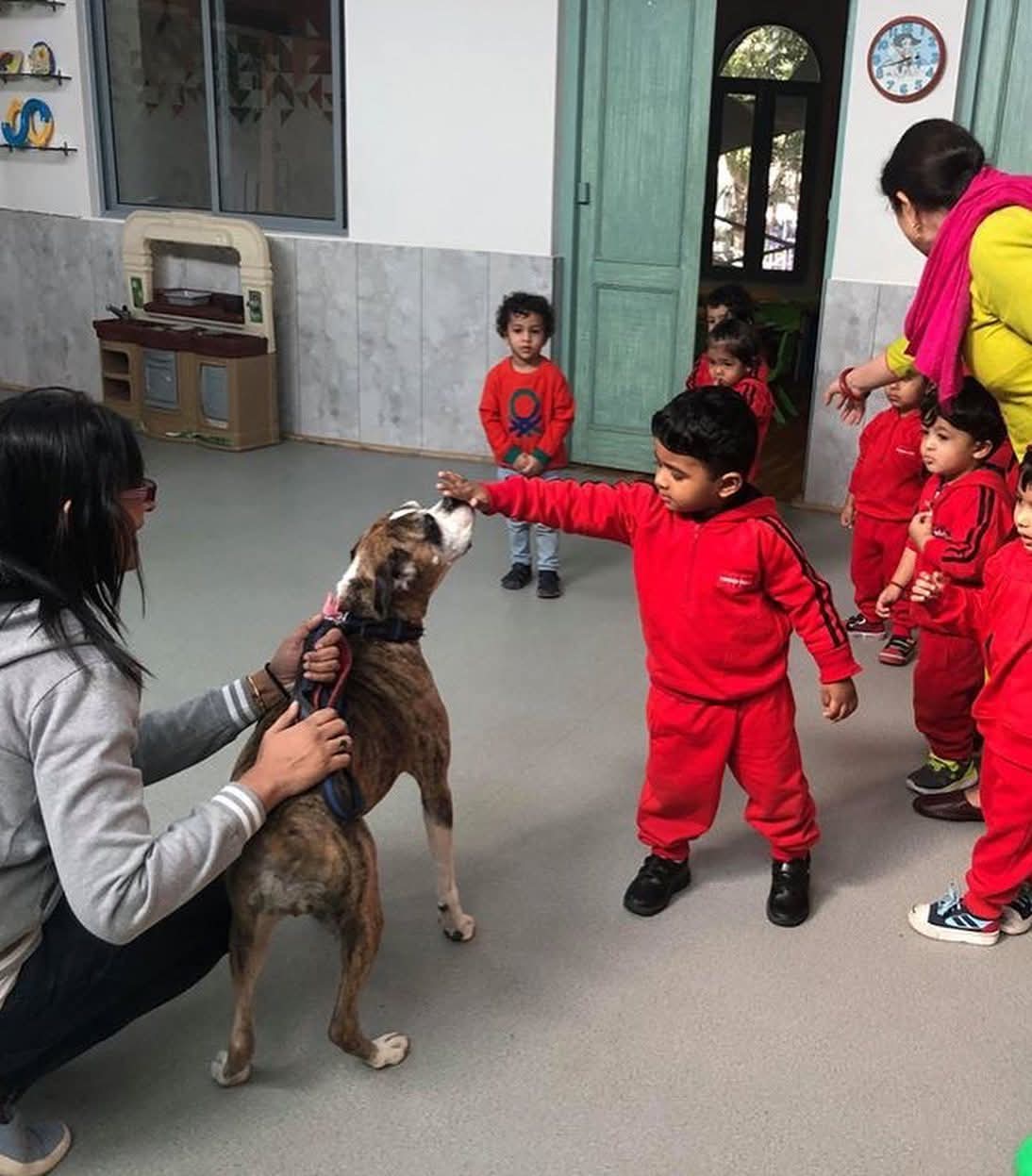 Animal Welfare/CSR - InnerLeap